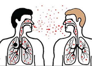 Drawing of airways and lungs showing cough aerosol generation