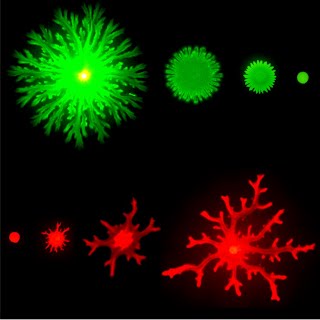 Image showing drug spreading on mucus-like gels