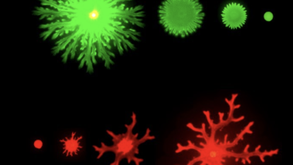 Image showing how surfactant increases the spread of droplets